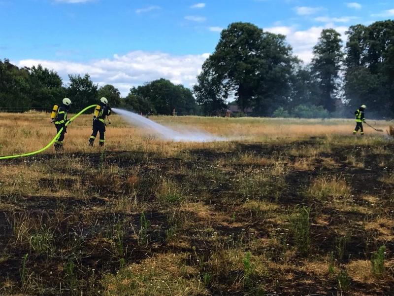 nordhorn_brennt_wiese_feuer_bricht_in_un