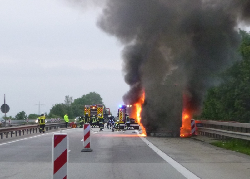 sprendlingen_olivenbaeume_auf_autobahn_v